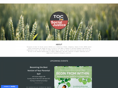www.toc4sj.com snapshot