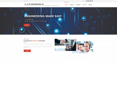 tlsnengineering.com snapshot