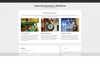 internetbusinessplatform.com snapshot