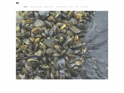 zebramussels123.weebly.com snapshot