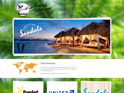 travelsolutionssd.com snapshot