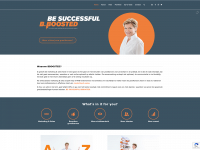 bboosted.com snapshot