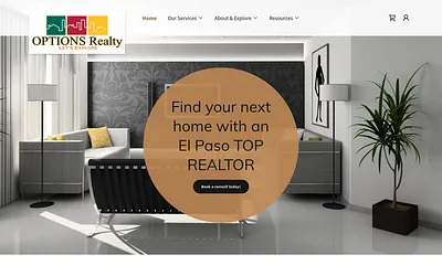 optionsrealty.us snapshot
