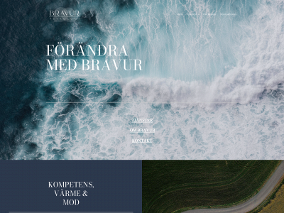 bravurpsykologi.se snapshot