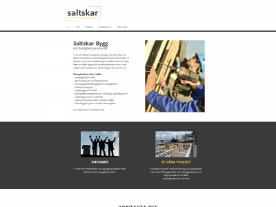 saltskar.eu snapshot