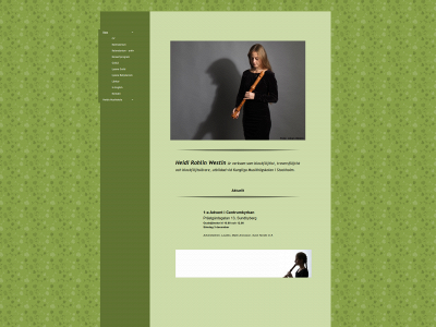heidi-musik.se snapshot