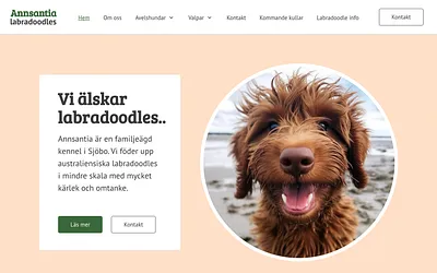annsantia.se snapshot
