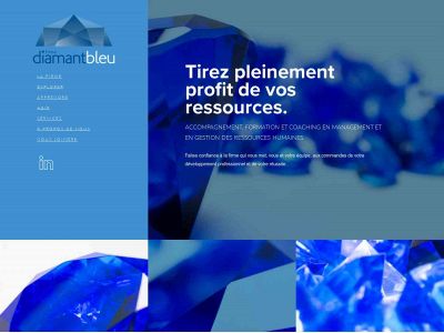 firmediamantbleu.com snapshot