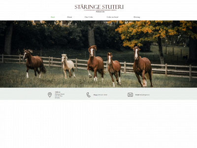 staringestuteri.se snapshot