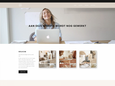 sdinterieurstyling.nl snapshot
