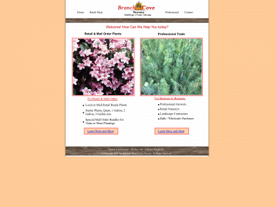 branchcovenursery.com snapshot