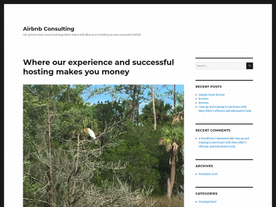 theairbnbconsultant.com snapshot