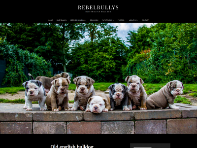 rebelbullys.nl snapshot