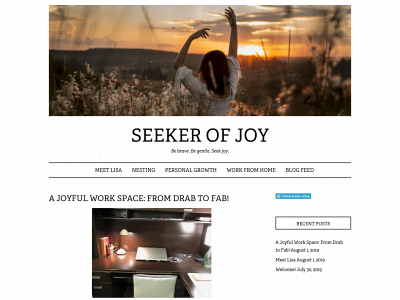 seekerofjoy.com snapshot