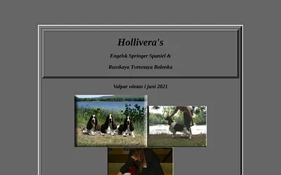 hollivera.se snapshot