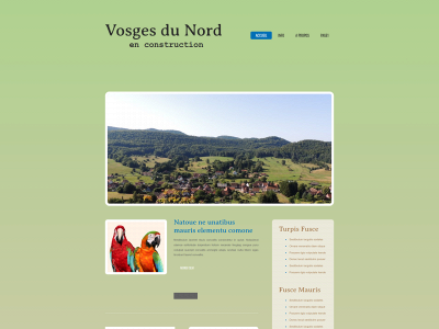 vosgesdunord.fr snapshot