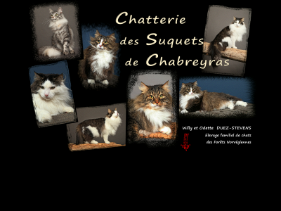 chatterie-des-suquets.be snapshot