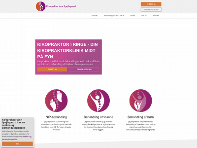 kirospejlsgaard.dk snapshot