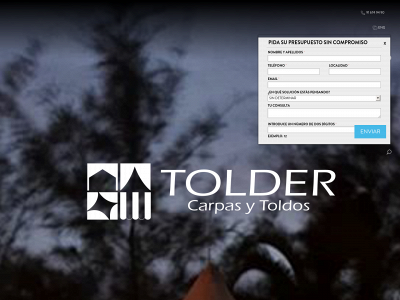 www.tolderonline.es snapshot