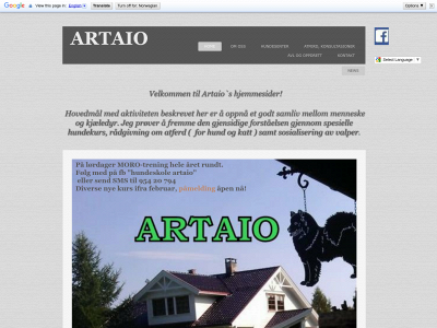 www.artaio.no snapshot