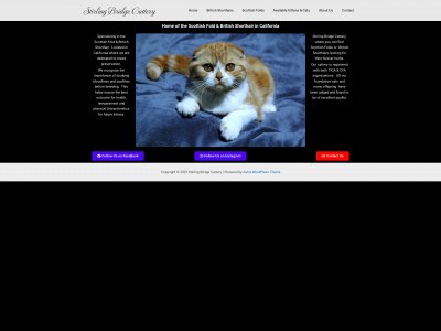 sbcattery.com snapshot