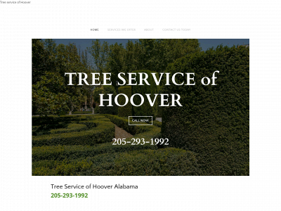 www.treeserviceofhoover.com snapshot