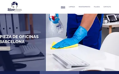 silverclean.info snapshot