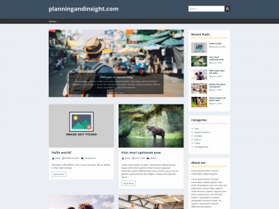 planningandinsight.com snapshot