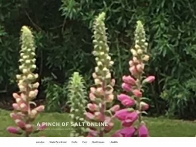 apinchofsaltonline.com snapshot