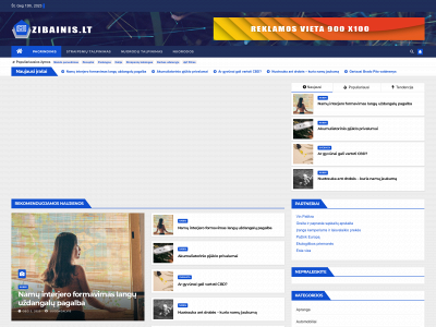 zibainis.lt snapshot
