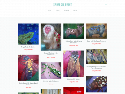 www.srnmoilpaint.com snapshot