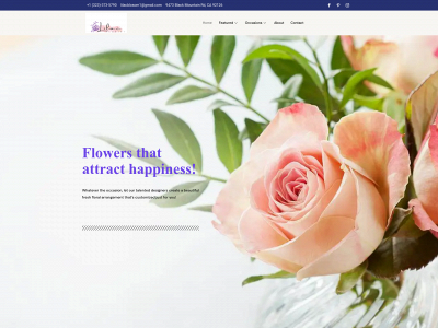 lilacblosom.com snapshot
