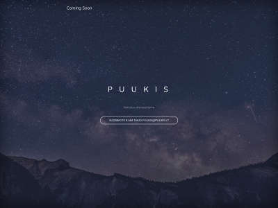 puukis.lt snapshot