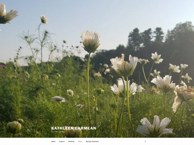 kathleencarmean.com snapshot