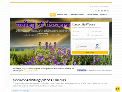 www.eziitours.in snapshot