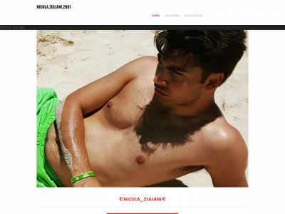 nicolazuliani.weebly.com snapshot