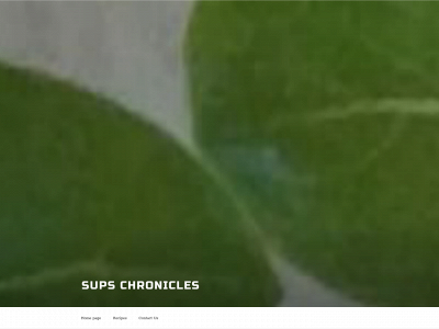 supschronicles.com snapshot