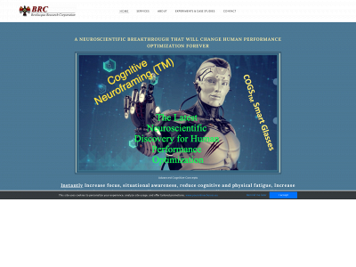 advancedcognitiveconcepts.com snapshot