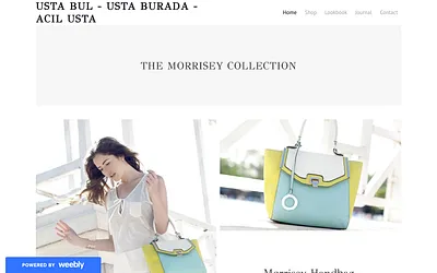 ustanburadan.weebly.com snapshot