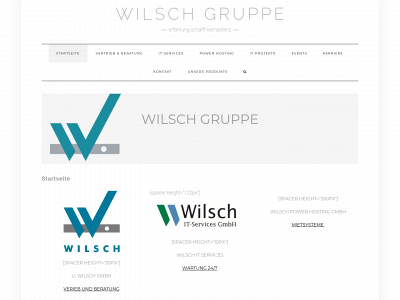 wilsch-group.com snapshot