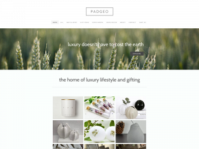 www.padgeo.co.uk snapshot