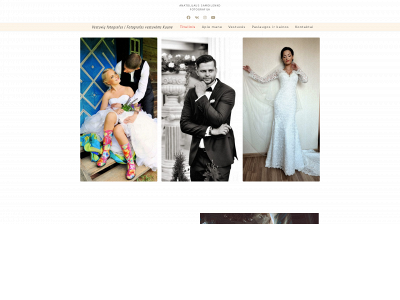 vestuviu-fotografas.lt snapshot