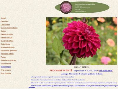 sqdahlia.qc.ca snapshot