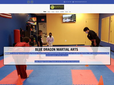 bluedragonpower.net snapshot