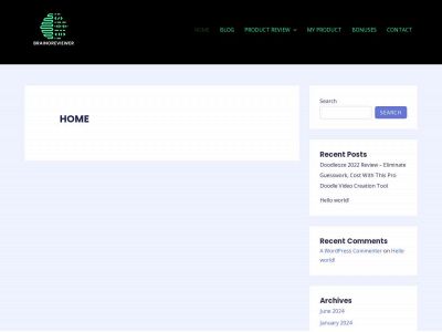 brainoreviewer.com snapshot