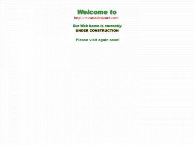 minaturalezasutil.com snapshot