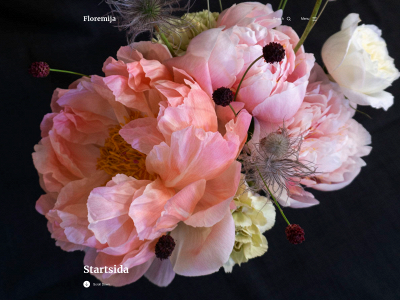 floremija.se snapshot