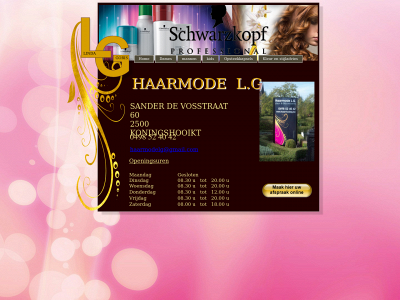 haarmodelg.be snapshot