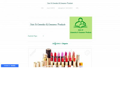 seinsi.weebly.com snapshot