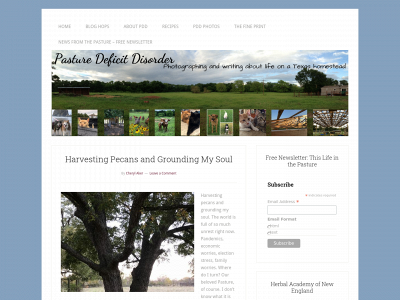 pasturedeficitdisorder.com snapshot